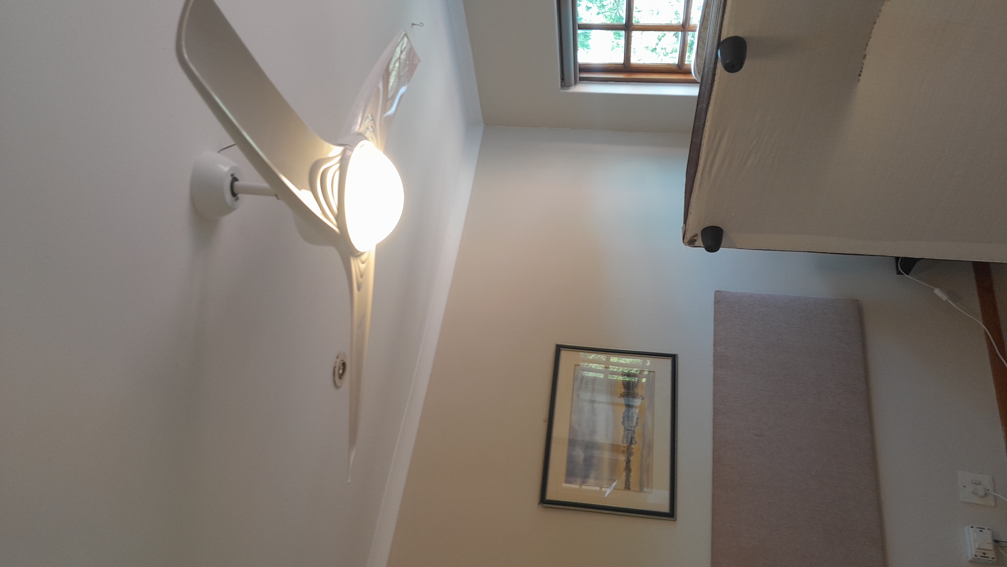 Ceiling fan with light